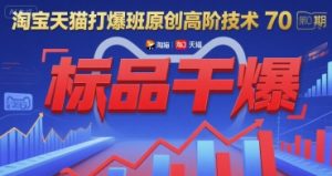 淘宝天猫打爆班原创高阶技术第70期:标品干爆-21资源库