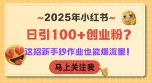 2025年小红书日引100+创业粉？这招新手抄作业也能爆流量！-21资源库