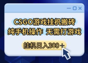 CSGO游戏挂G搬砖,小白纯手机即可操作,不用电脑打游戏,日入3张+,副业网创项目【揭秘】-21资源库