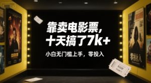 靠卖电影票,十天搞了7k+,小白无门槛上手,零投入【揭秘】-21资源库