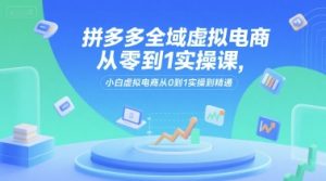 拼多多全域虚拟电商从零到1实操课，小白虚拟电商从0到1实操到精通-21资源库