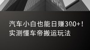 汽车小白也能日入3张！实测懂车帝搬运玩法-21资源库