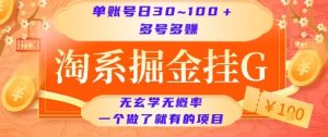 淘系掘金挂G项目,单账号日收益30~100+,多号多得,一个做了就有的项目【揭秘】-21资源库
