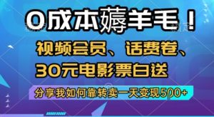 0成本薅羊毛!视频会员、话费卷、30元电影票白送，分享我如何靠转卖一天变现5张+【揭秘】-21资源库