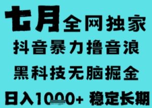 7月最新风口抖音无人直播撸音浪,长期稳定,非短期,全自动运行,低门槛无脑,日入1k+【揭秘】-21资源库