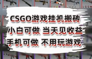 CSGO游戏挂G搬砖,小白纯手机即可操作,不用电脑打游戏,日入3张+,副业网创项目【揭秘】-21资源库
