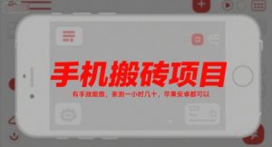 手机搬砖项目,有手就能做,亲测一小时几十,苹果安卓都可以-21资源库