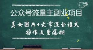 公众号流量主副业项目，美女图片+文章混合模式操作流量爆棚-21资源库