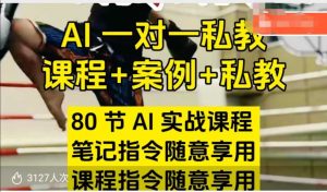AI指令实战课，课程+案例，80节AI实战课程，笔记指令随意享用，课程指令随意享用（更新7月）-21资源库