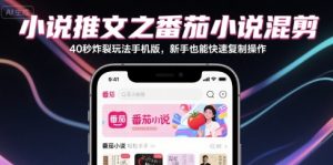 小说推文之番茄小说混剪40秒炸裂玩法手机版，新手也能快速复制操作-21资源库