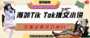 海外tiktok小说推文暴力项目,高停留率,高转化率,上手后一天搞顿饭钱不是问题-21资源库