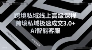 跨境私域线上高级课程,跨境私域极速成交3.0+Ai智能客服-21资源库
