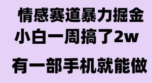 情感暴力掘金项目，新人操作一周挣了2W，长期稳定小白可做【揭秘】-21资源库