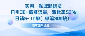 实测私域新玩法日引30加精准流量转化率50%日销5-10单每笔3张-21资源库