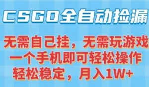 CSGO自动捡漏项目，最新独家玩法，一个手机可操作，新手小白轻松月入1W+，操作简单易上手【揭秘】-21资源库