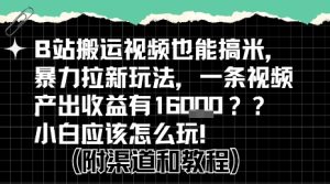 b站掘金计划？搬运视频也能挣拉新的收益，小白应该怎么玩！-21资源库