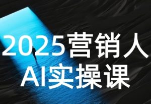 2025营销人Al实操课，AI营销抢跑实战，从Prompt到方案，效率碾压同行-21资源库
