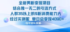 全新男粉变现项目引流人群35以上的男粉消费能力大 经过实测单日变现1k+-21资源库