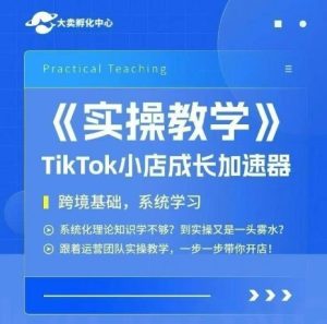 大卖家孵化中心TikTok实操课,TikTok小店成长加速器,跨境基础系统学习,一步一步带你开店-21资源库