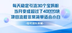 每天稳定引流30个人 当月变成超过了4个W项目流程非常简单适合小白-21资源库