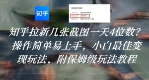 知乎拉新几张截图一天4位数？操作简单易上手，小白最佳变现玩法，附保姆级玩法教程-21资源库