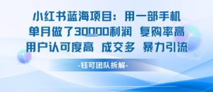 小红书蓝海项目，一部手机单月做了3W利润，小白也能月入过1W用户认可度高成交多-21资源库