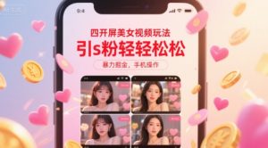 四开屏美女视频玩法，引s粉轻轻松松，暴力掘金，手机操作【揭秘】-21资源库