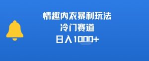 情趣内衣暴利玩法，冷门赛道，日入1k+-21资源库