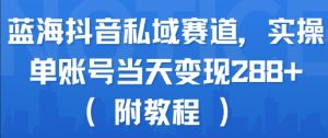 蓝海抖音私域赛道，实操单账号当天变现288+(附教程)-21资源库