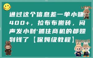 通过这个信息差一单小挣4张+,拉布布搬砖,闷声发小财抓住商机的都挣到钱了【保姆级教程】-21资源库