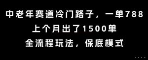 中老年赛道冷门路子，一单788，上个月出了1500单，全流程玩法，保底模式【揭秘】-21资源库