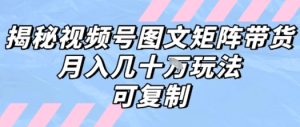 解密视频号图文矩阵带货,月入几个W的打法,可复制-21资源库