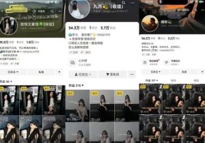 抖音图文文案赛道新玩法，快速养号起号，广告收益分成+橱窗带货+教学收徒等-21资源库