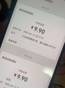 二次元男粉快速变现项目，私域卖虚拟产品，百分利润-21资源库