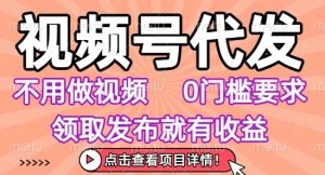 视频号代发,不用剪辑不用做视频,0门槛要求,领取发布就有收益,任务没有无上限,小白轻松上手【揭秘】-21资源库