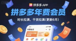 拼多多年费会员,实经验分享操,时长拉满,干货拉满(更新8月)-21资源库