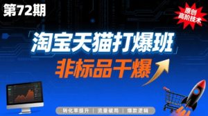 淘宝天猫打爆班原创高阶技术第72期,非标品干爆-21资源库