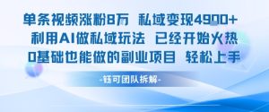 单条视频私域变现4.9k+利用AI做私域玩法 已经开始火热0基础也能做的副业项目轻松上手-21资源库