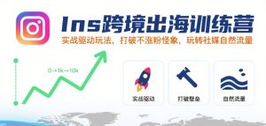 Ins跨境出海训练营,实战驱动玩法,打破不涨粉怪象,玩转社媒自然流量-21资源库