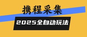 2025携程信息采集全自动玩法，高单价，零人工，全天开干【揭秘】-21资源库