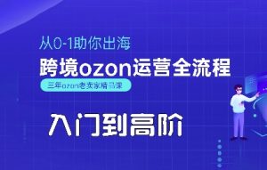 OZON入门到高阶全流程,从0-1助你出海,跨境ozon运营全流程-21资源库