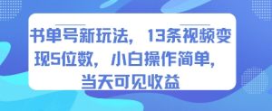 书单号新玩法，13条视频变现5位数，小白操作简单，当天可见收益-21资源库