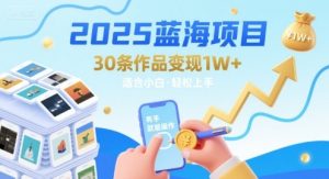 2025蓝海项目30条作品 变现1w+ 有手就能操作适合小白做-21资源库
