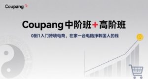 Coupang中阶班+高阶班，0到1入门跨境电商，在家一台电脑挣韩国人的钱-21资源库