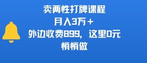 卖两性打牌课程，月入3W+外边收费899的课程，这里0元，悄悄做-21资源库