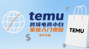 temu跨境电商小白基础入门课程，新手必看-21资源库