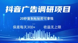 抖音广告调研项目,只需复制粘贴广告即可挣钱,任务不限量,一天稳定3张-21资源库