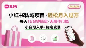 小红书私域项目 月入过W非常轻松 每天15分钟即可搞定，无任何操作门槛，小白可入手-21资源库