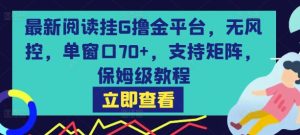 最新阅读挂G撸金平台，无风控，单窗口70+，支持矩阵，保姆级教程【揭秘】-21资源库