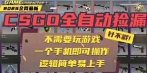 CSGO自动捡漏项目，最新独家玩法，一个手机即可操作，新手小白轻松月入1W+，操作简单易上手【揭秘】-21资源库
